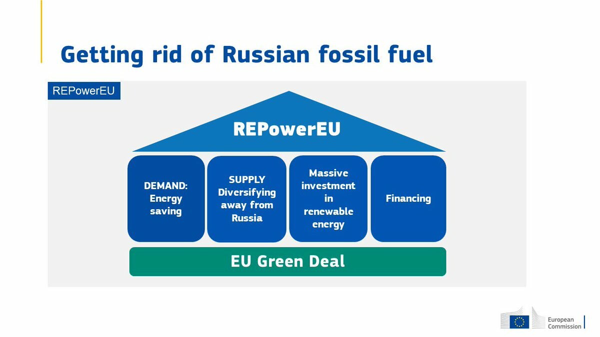 European Commission: "We are diversifying away from Russia for our ener…" -  EU Voice